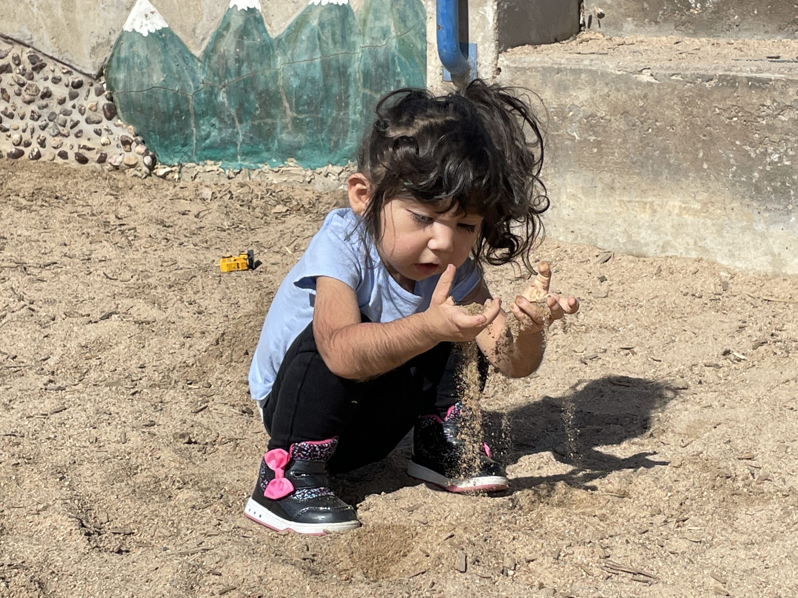 Potty Training a Child with Special Needs